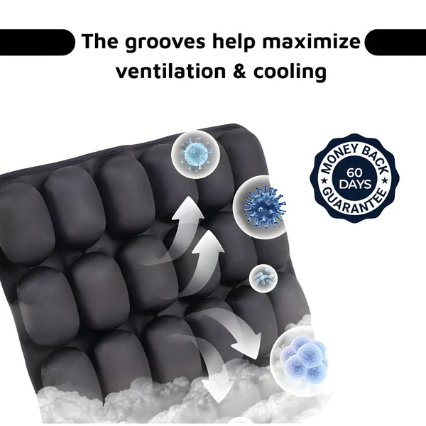 LXL™ - CloudComfort Cushion TravelEase