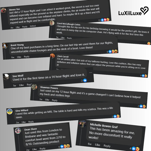 CloudComfort Travel Cushion